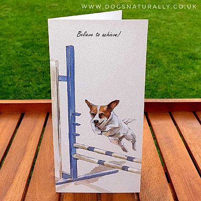 Hurdles Dog Agility Greetings Card